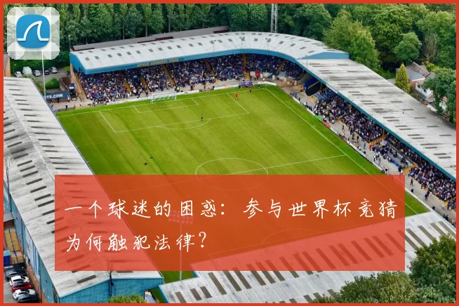 一个球迷的困惑：参与世界杯竞猜为何触犯法律？