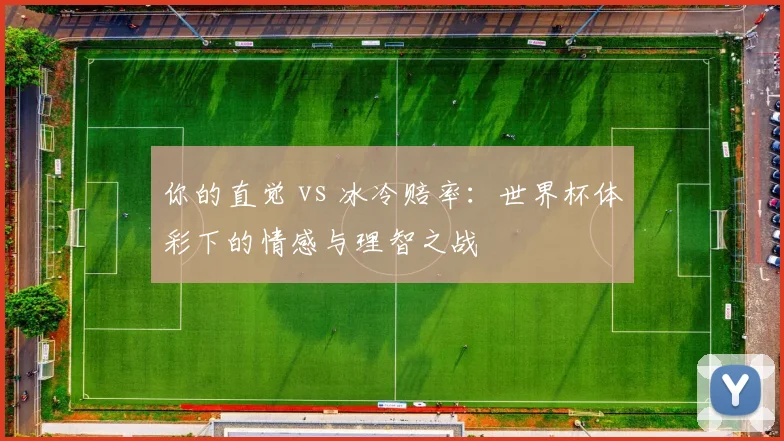你的直觉 vs 冰冷赔率:世界杯体彩下的情感与理智之战