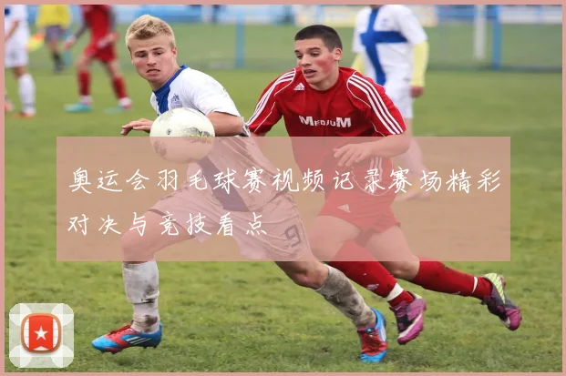 奥运会羽毛球赛视频记录赛场精彩对决与竞技看点