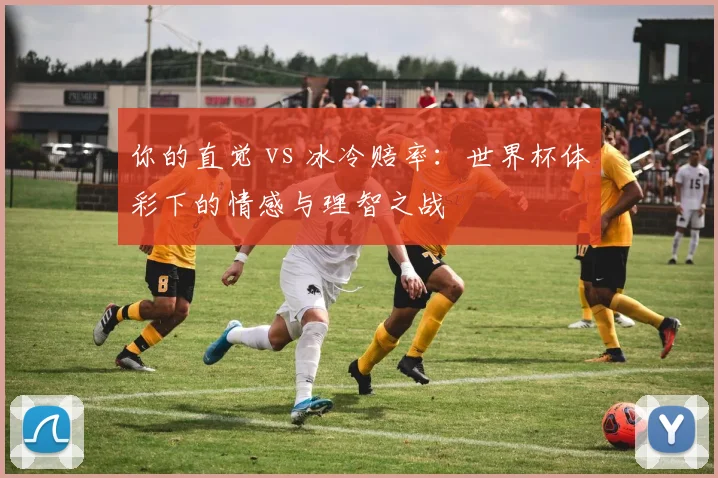 你的直觉 vs 冰冷赔率:世界杯体彩下的情感与理智之战