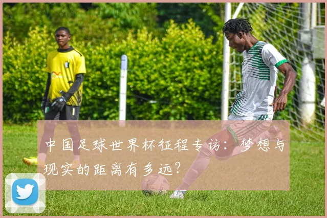 中国足球世界杯征程专访：梦想与现实的距离有多远？