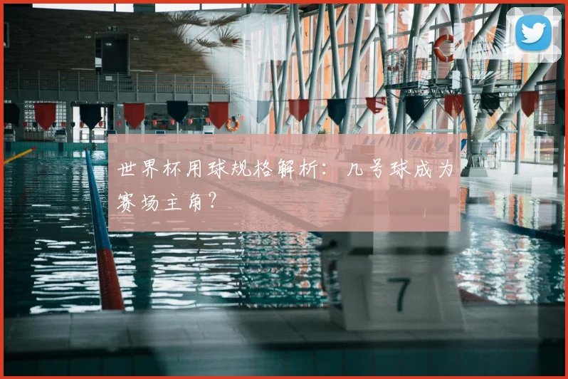 世界杯用球规格解析：几号球成为赛场主角？