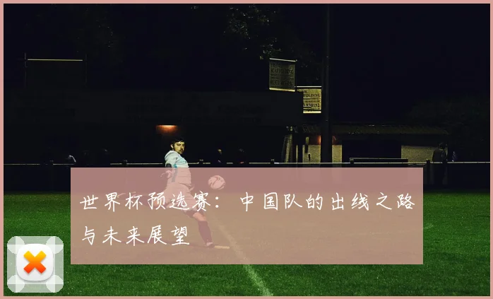 世界杯预选赛：中国队的出线之路与未来展望