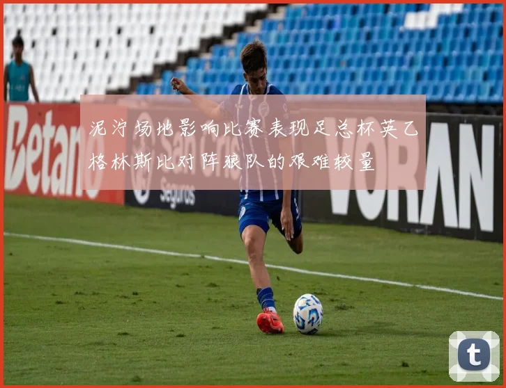 泥泞场地影响比赛表现足总杯英乙格林斯比对阵狼队的艰难较量