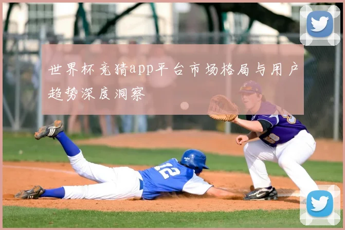 世界杯竞猜app平台市场格局与用户趋势深度洞察