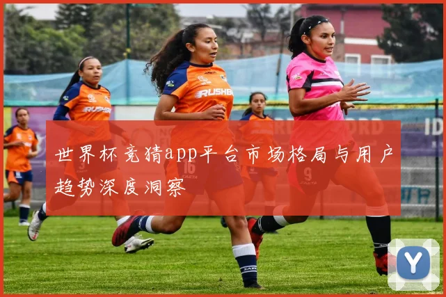 世界杯竞猜app平台市场格局与用户趋势深度洞察
