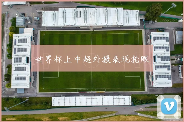 世界杯上中超外援表现抢眼