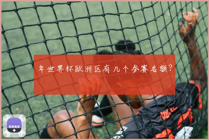年世界杯欧洲区有几个参赛名额?