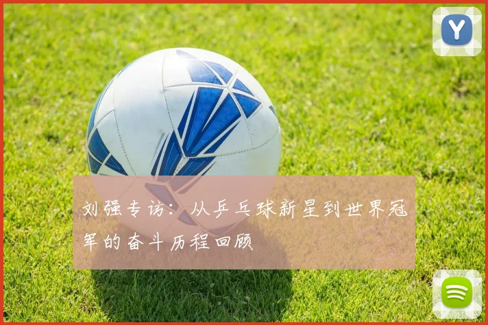 刘强专访：从乒乓球新星到世界冠军的奋斗历程回顾