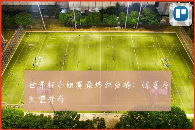 世界杯小组赛最终积分榜：惊喜与失望并存
