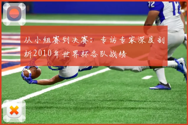 从小组赛到决赛：专访专家深度剖析2010年世界杯各队战绩