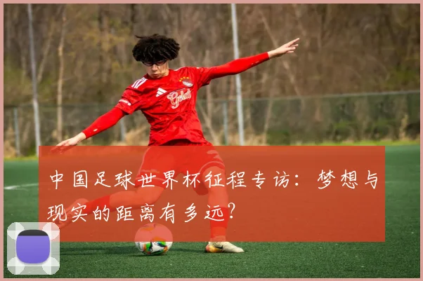 中国足球世界杯征程专访:梦想与现实的距离有多远?