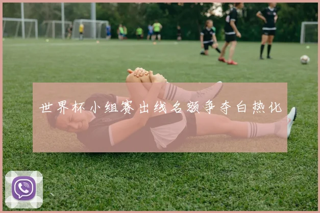 世界杯小组赛出线名额争夺白热化