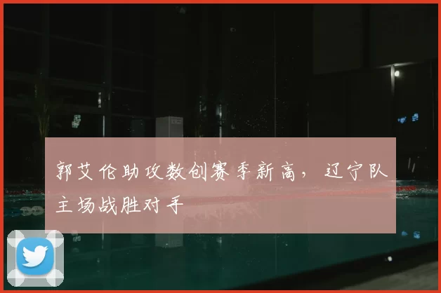 郭艾伦助攻数创赛季新高，辽宁队主场战胜对手
